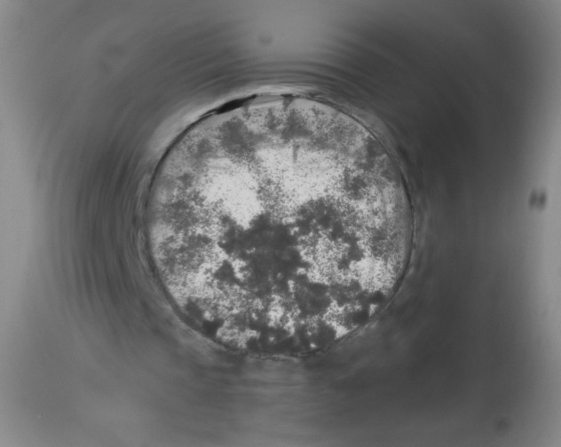 X0000113960337200910232034