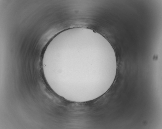 X0000113960338200910232034