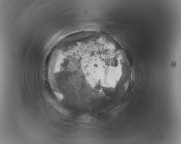 X0000113960339200910232034