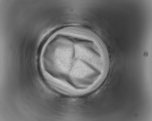 X0000113960342200910232034