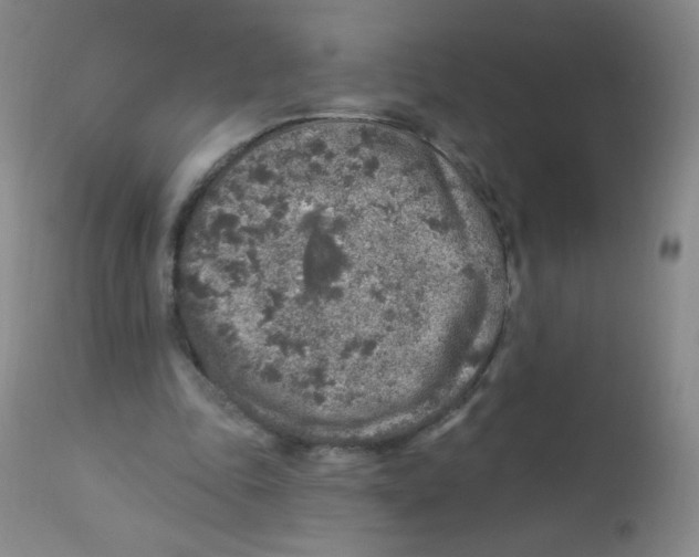 X0000113960343200910232034
