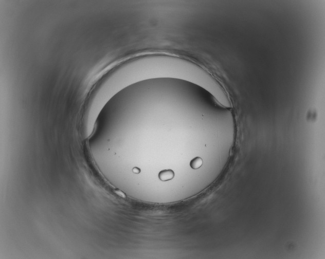 X0000113960344200910232034