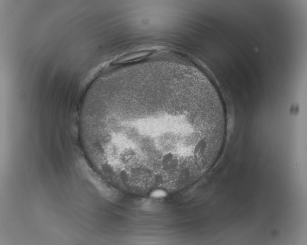 X0000113960345200910232034