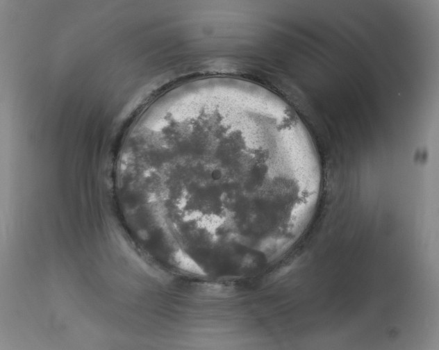 X0000113960347200910232034