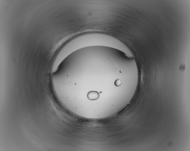 X0000113960348200910232034