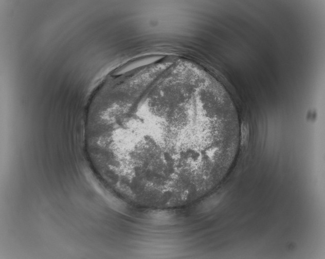 X0000113960349200910232034