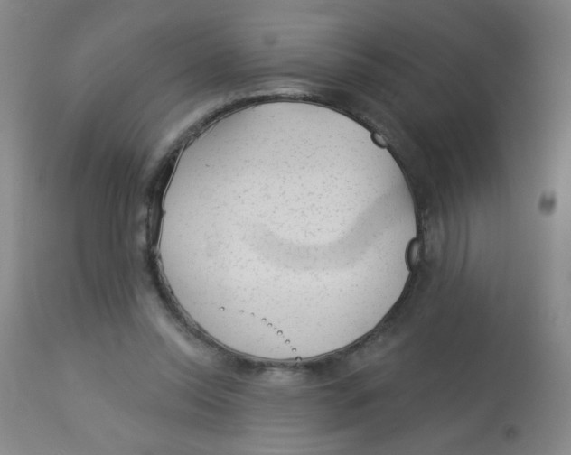 X0000113960350200910232034
