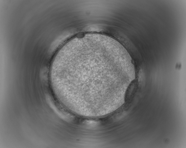 X0000113960352200910232034