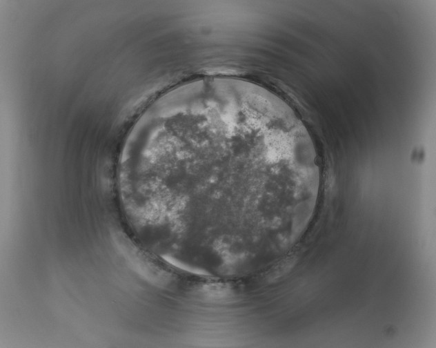 X0000113960353200910232034