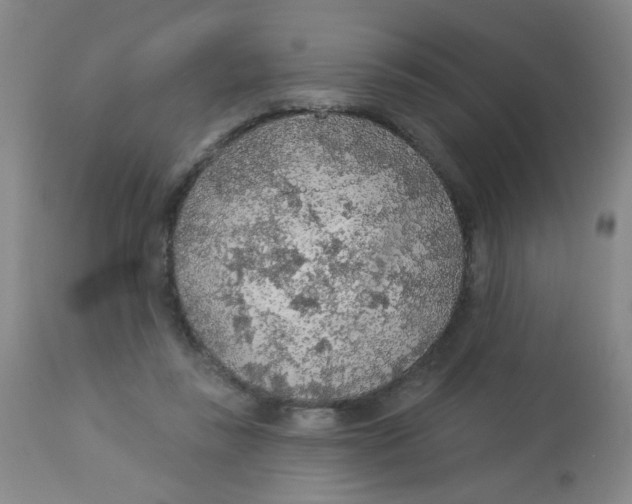 X0000113960355200910232034