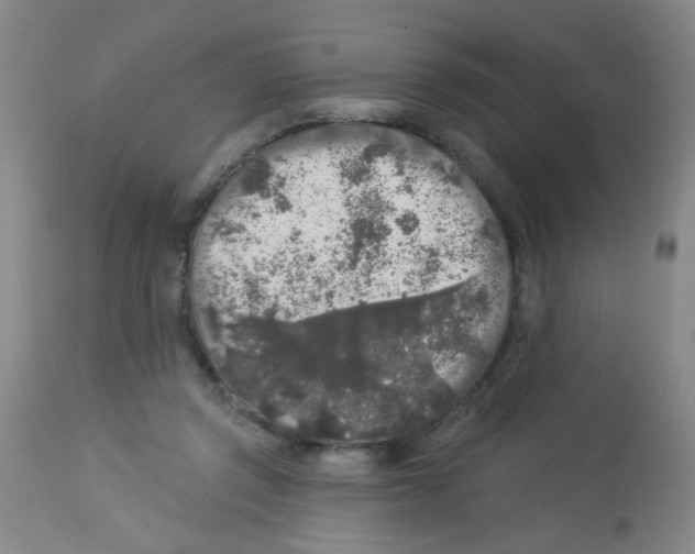 X0000113960357200910232034
