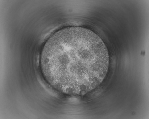 X0000113960358200910232034
