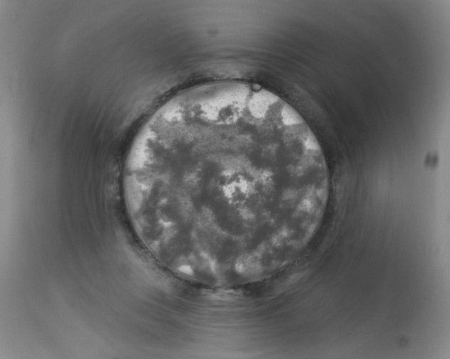 X0000113960359200910232034