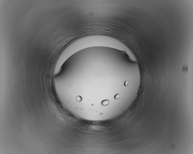 X0000113960360200910232034