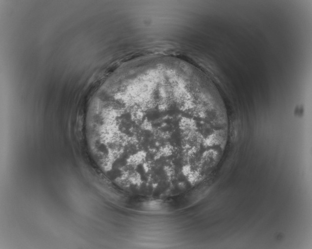 X0000113960365200910232034