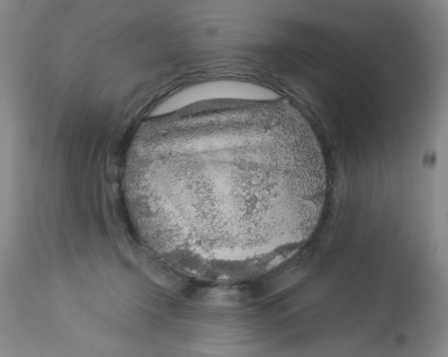 X0000113960366200910232034