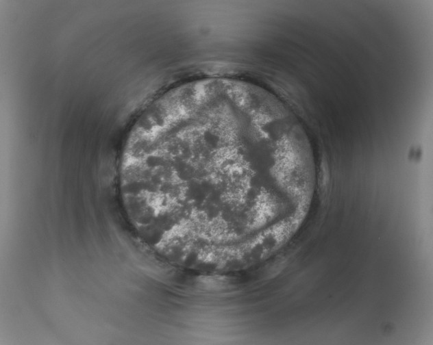 X0000113960367200910232034