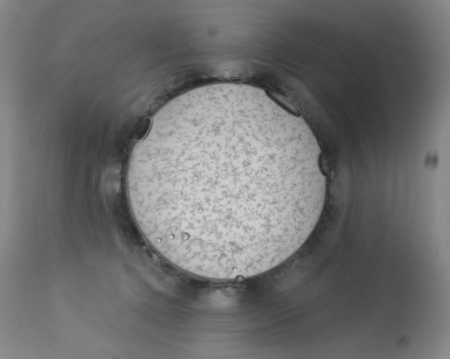 X0000113960368200910232034