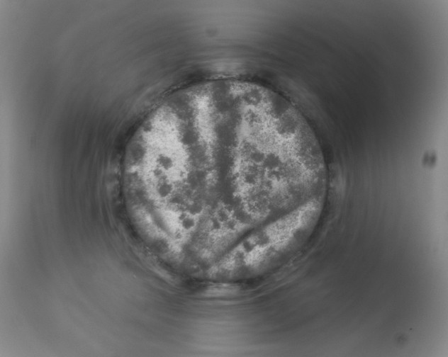 X0000113960369200910232034