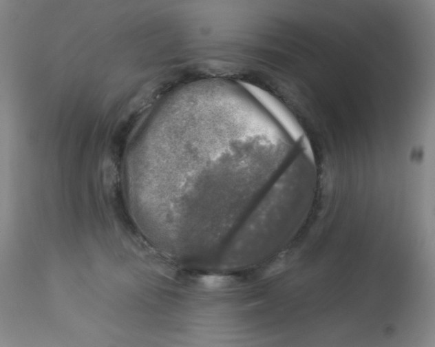 X0000113960371200910232034