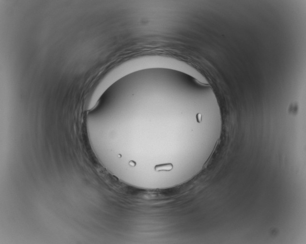 X0000113960372200910232034