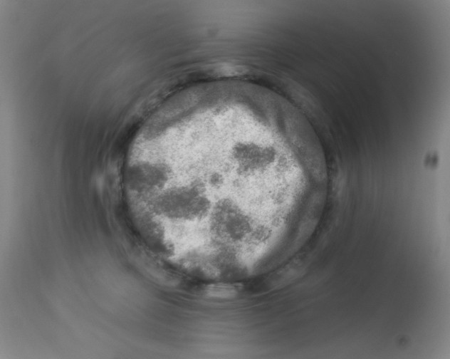 X0000113960373200910232034