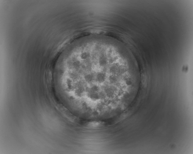 X0000113960375200910232034