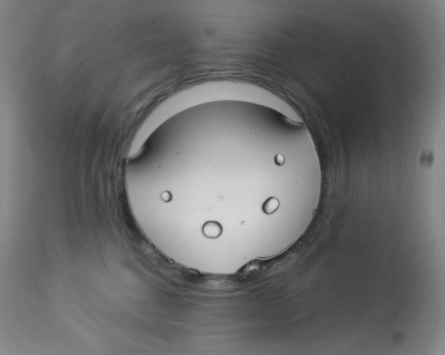 X0000113960376200910232034
