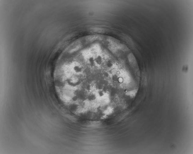 X0000113960377200910232034