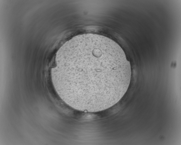 X0000113960379200910232034