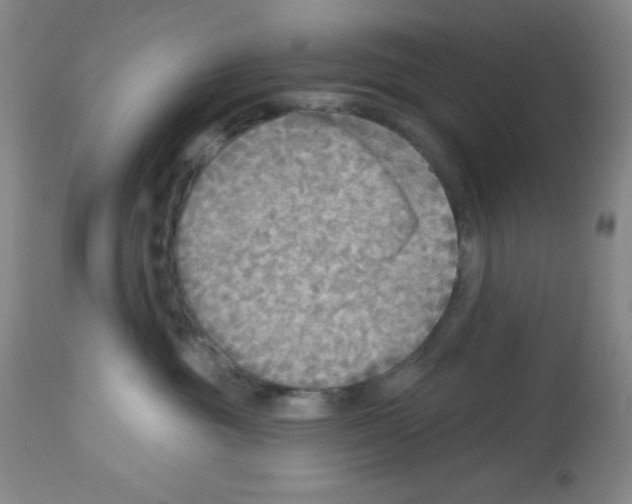 X0000113960381200910232034