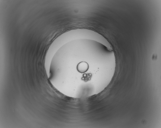 X0000113960384200910232034