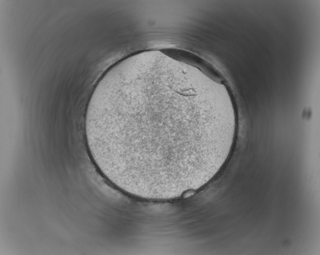X0000113960385200910232033