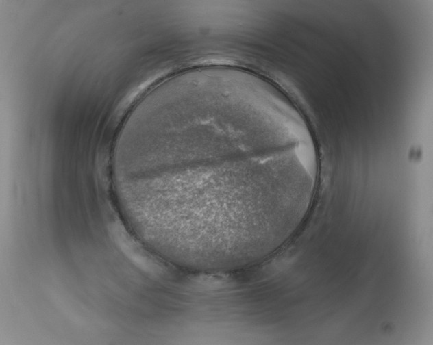 X0000113960386200910232033