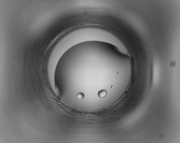 X0000113960387200910232033