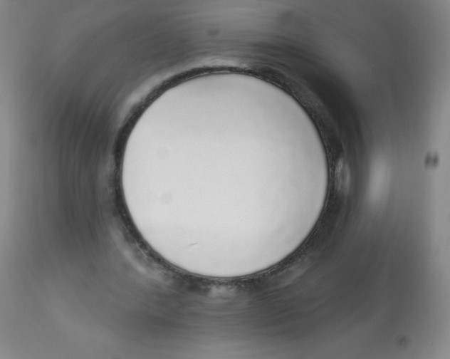 X0000113960388200910232033