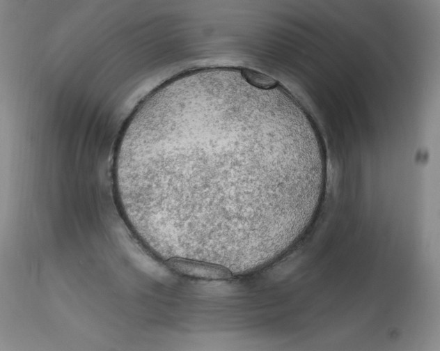 X0000113960389200910232033
