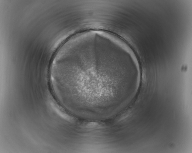 X0000113960390200910232033