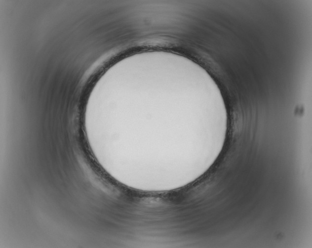 X0000113960392200910232033