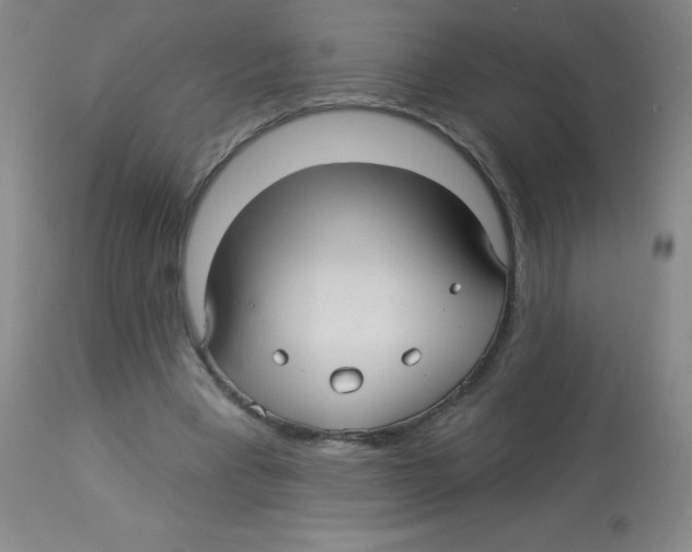 X0000113960393200910232033