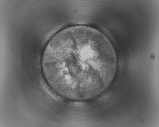 X0000113960394200910232033
