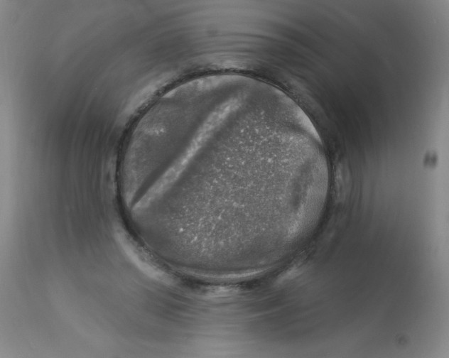 X0000113960398200910232033