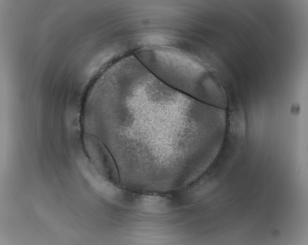 X0000113960399200910232033
