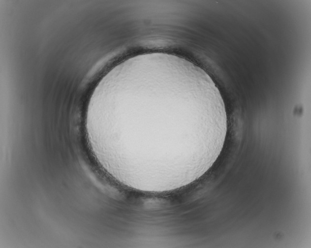 X0000113960400200910232033