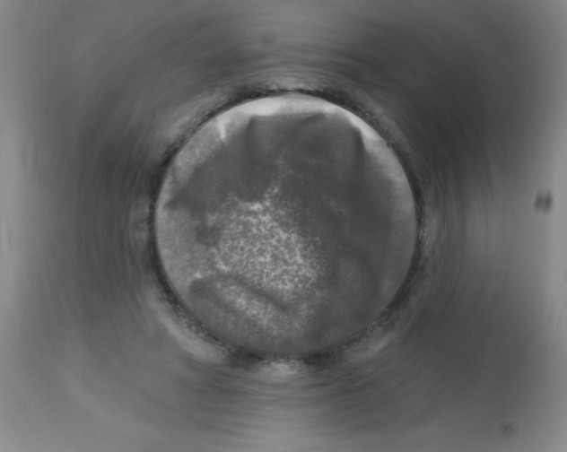 X0000113960402200910232033