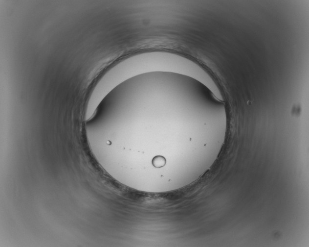 X0000113960403200910232033