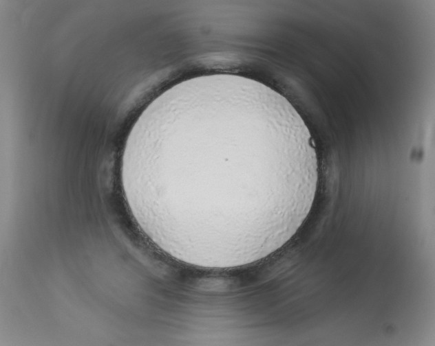 X0000113960404200910232033