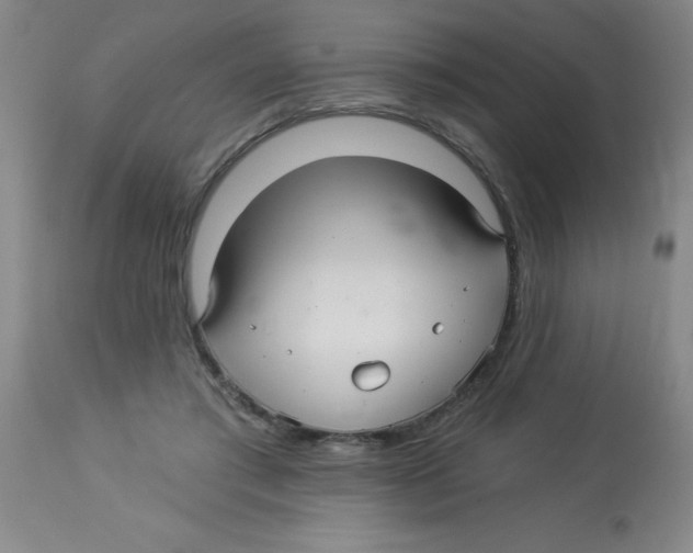 X0000113960405200910232033