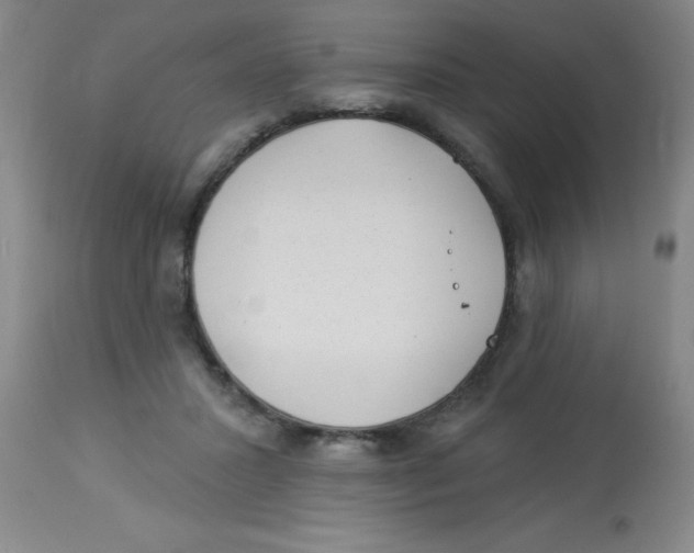 X0000113960407200910232033