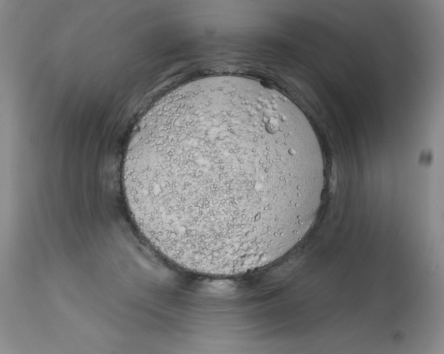 X0000113960409200910232033